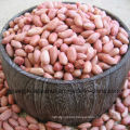 Hot Sale Jumbo Peanut Kernels From China
